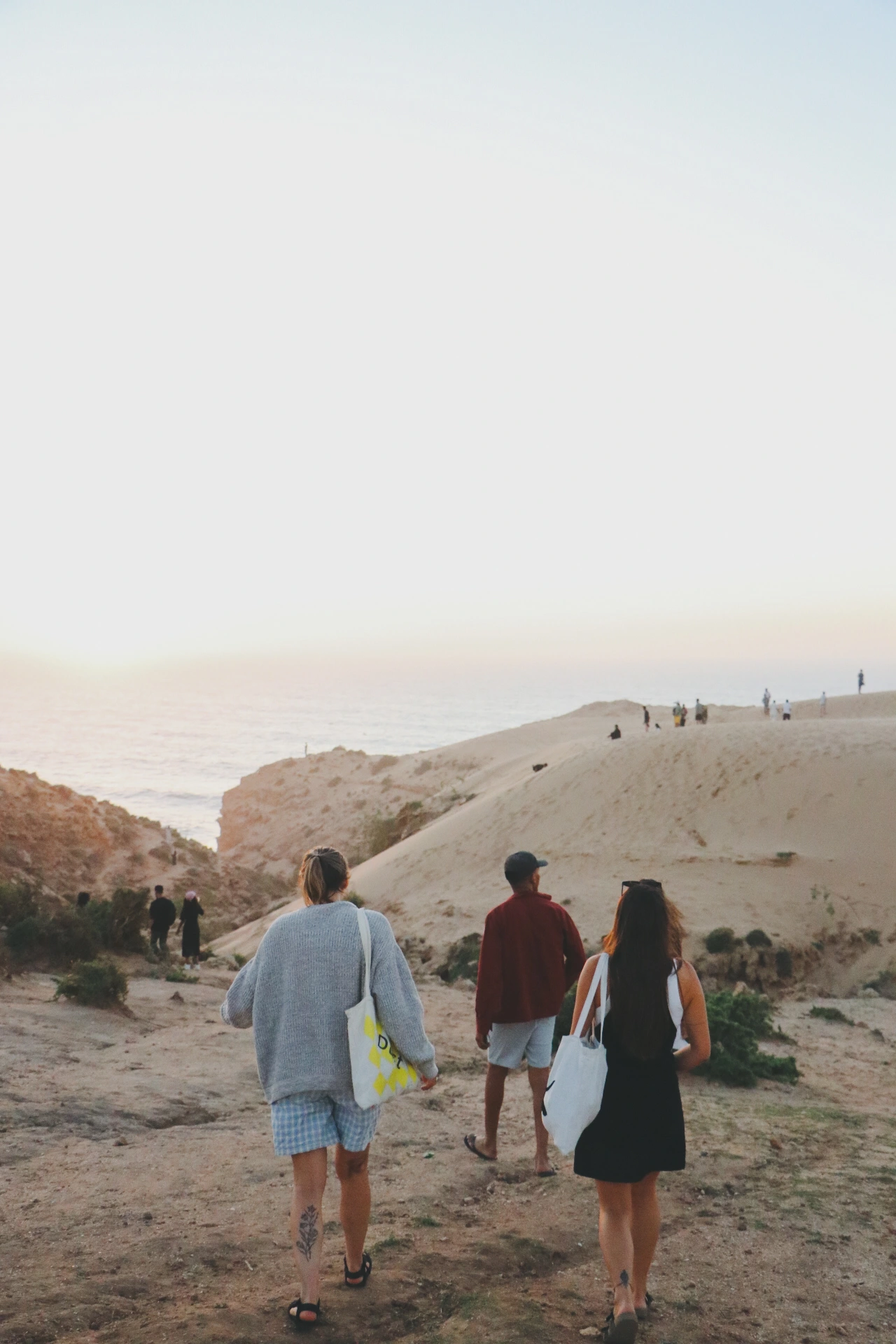Sand Dunes Trip