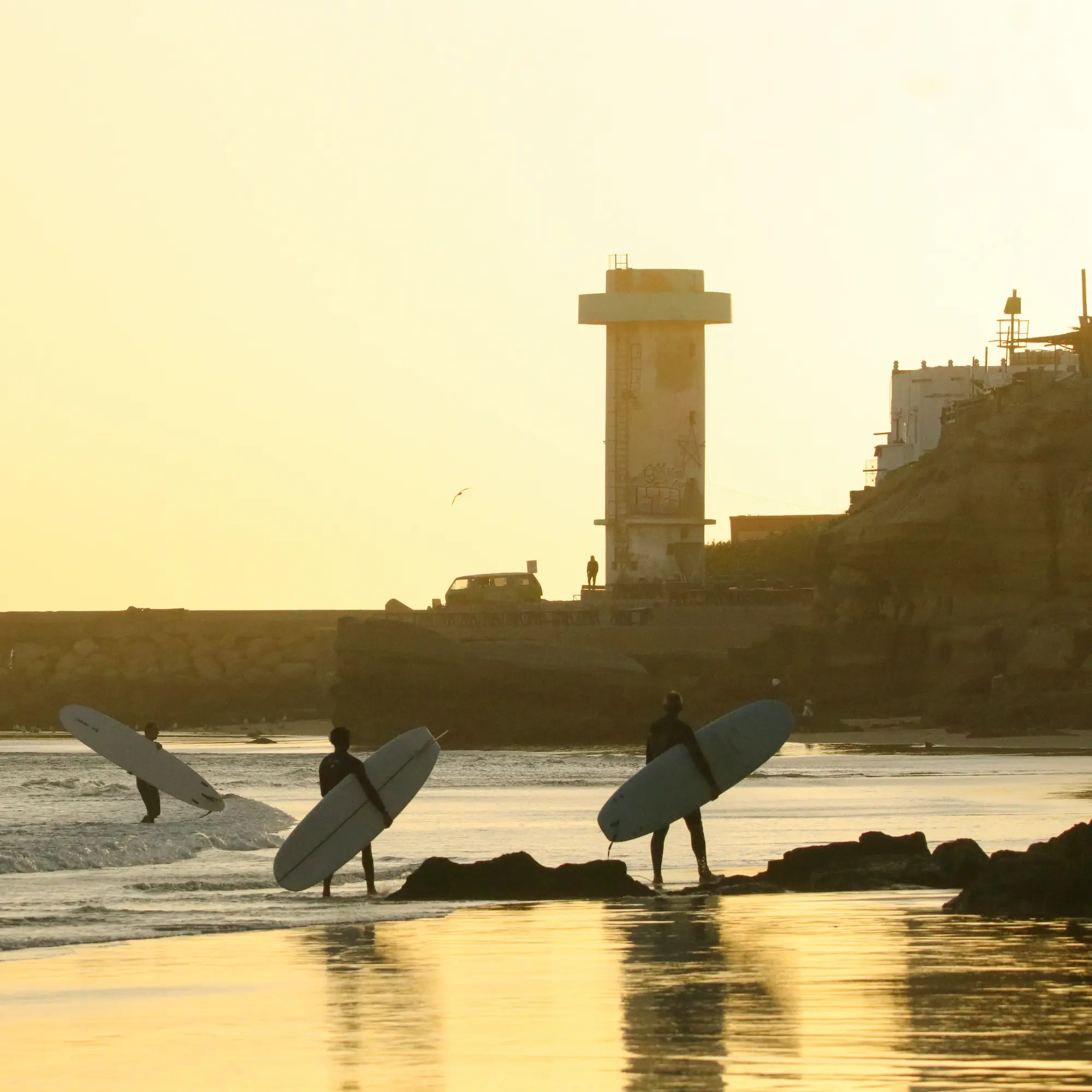 Surfing